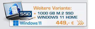 Notebook CSL R'Evolve C14i v2 / 1000GB / Windows 11 Home